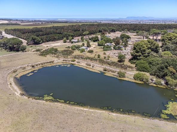 149-2026 AS Bluegum Grove
