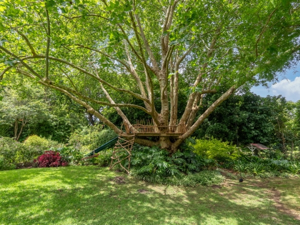 092 Organic House AS 2026