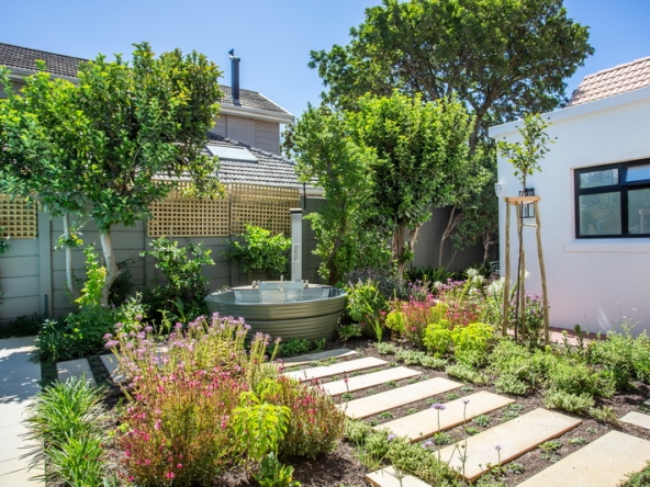 098 Colour Play AS 2026