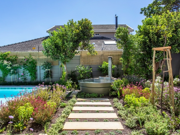 099 Colour Play AS 2026