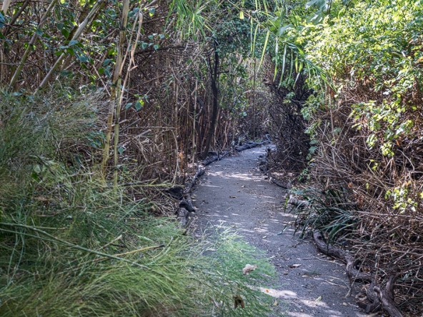 Cape Town Centre for Unity 42