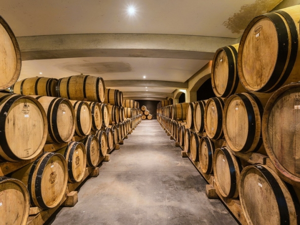 017 Little Bordeaux AS 2026