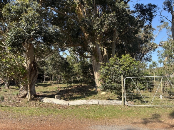 009 Cape Point Farm Stall AS 2026