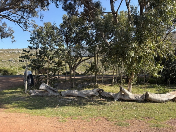 010 Cape Point Farm Stall AS 2026