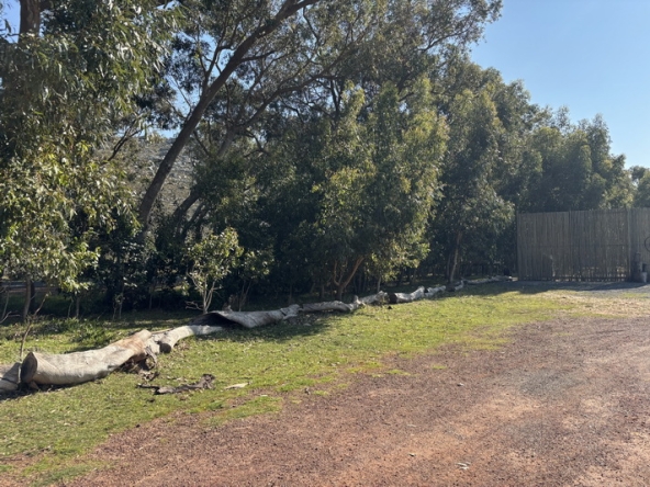 011 Cape Point Farm Stall AS 2026