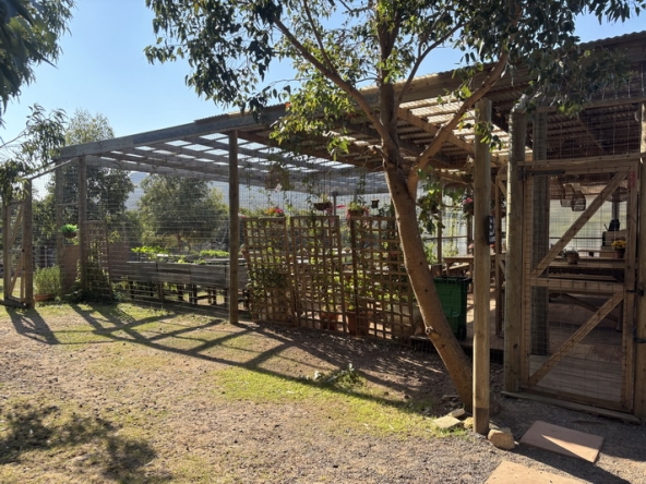 029 Cape Point Farm Stall AS 2026