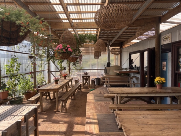 033 Cape Point Farm Stall AS 2026
