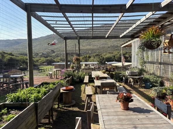 041 Cape Point Farm Stall AS 2026
