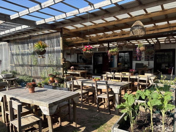 042 Cape Point Farm Stall AS 2026