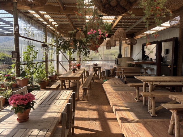 046 Cape Point Farm Stall AS 2026