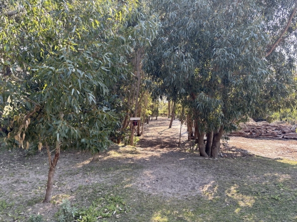 047 Cape Point Farm Stall AS 2026