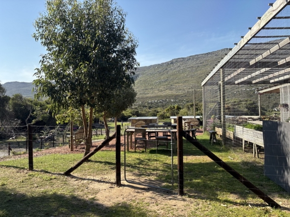 048 Cape Point Farm Stall AS 2026