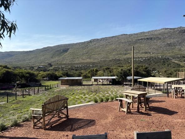 049 Cape Point Farm Stall AS 2026