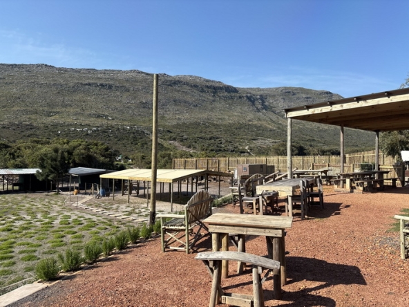 050 Cape Point Farm Stall AS 2026