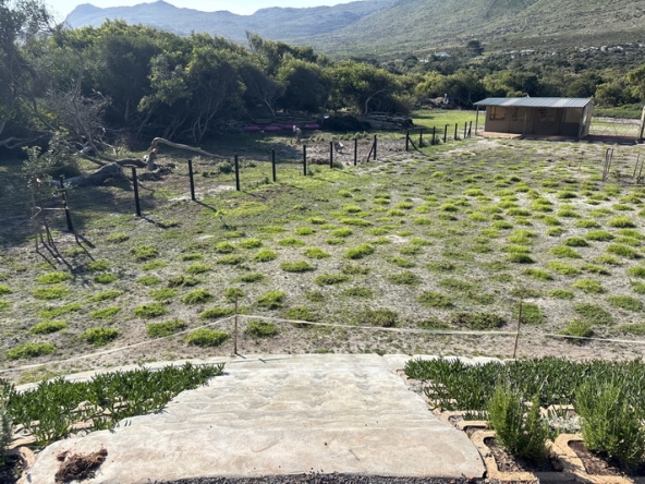 052 Cape Point Farm Stall AS 2026