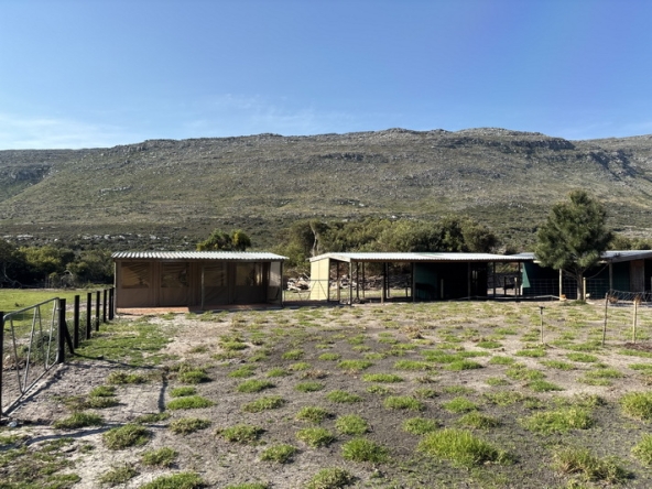 059 Cape Point Farm Stall AS 2026