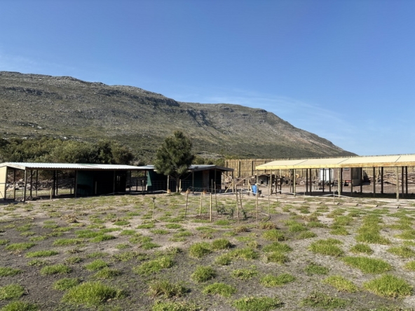 060 Cape Point Farm Stall AS 2026