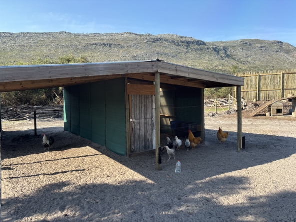 062 Cape Point Farm Stall AS 2026