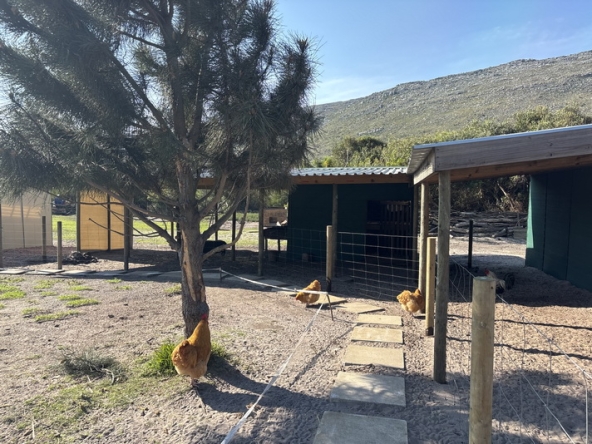 063 Cape Point Farm Stall AS 2026