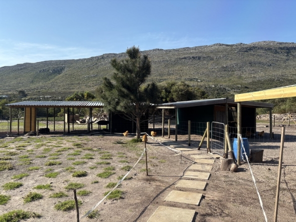 064 Cape Point Farm Stall AS 2026