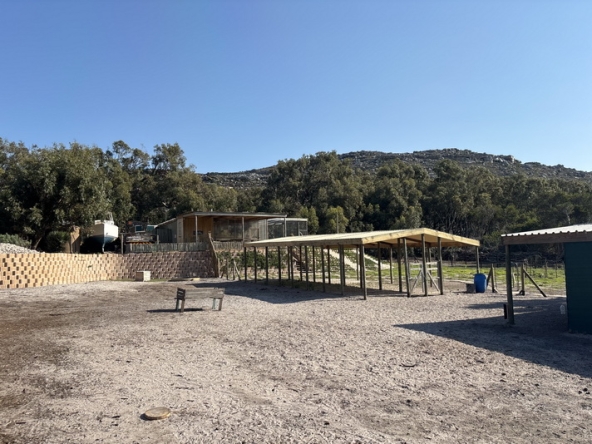 070 Cape Point Farm Stall AS 2026