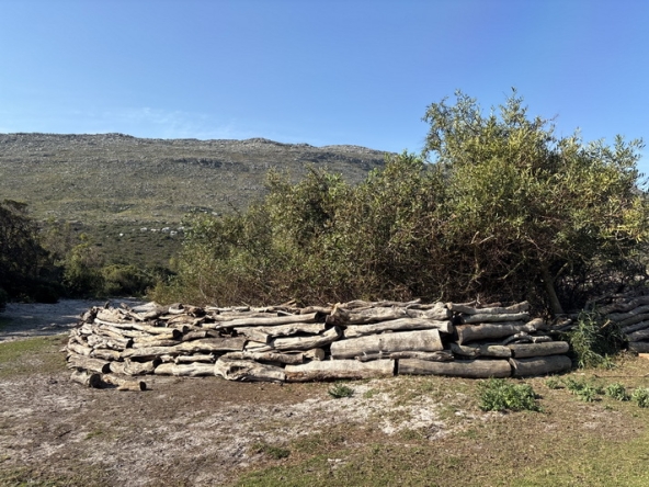 073 Cape Point Farm Stall AS 2026