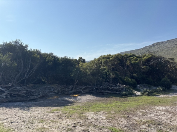 074 Cape Point Farm Stall AS 2026
