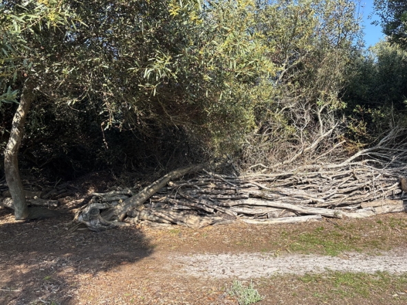 091 Cape Point Farm Stall AS 2026