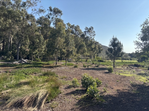 093 Cape Point Farm Stall AS 2026