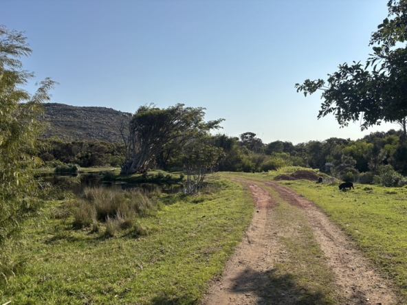 096 Cape Point Farm Stall AS 2026