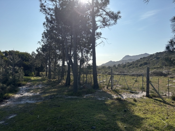 097 Cape Point Farm Stall AS 2026