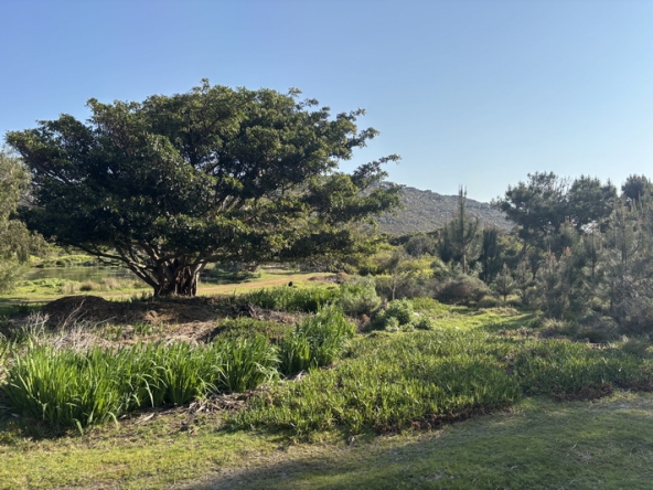 099 Cape Point Farm Stall AS 2026