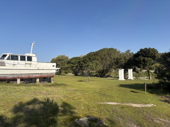 100 Cape Point Farm Stall AS 2026