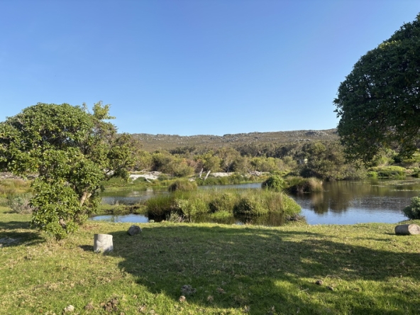 110 Cape Point Farm Stall AS 2026