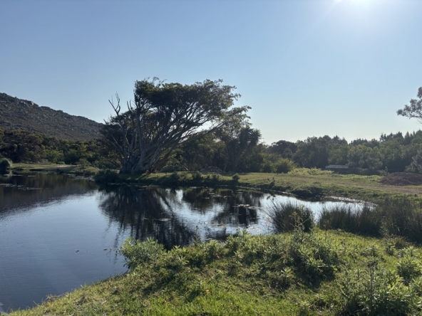 117 Cape Point Farm Stall AS 2026