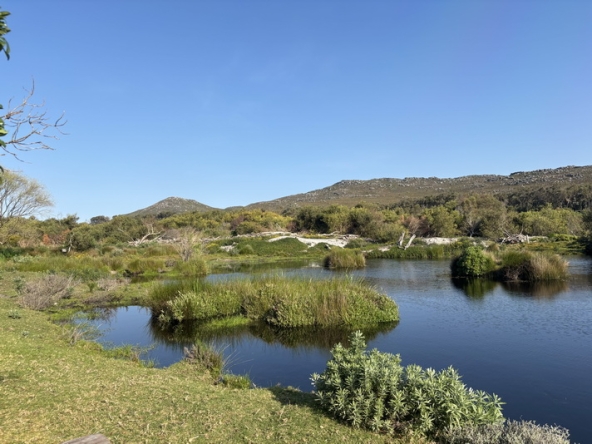 119 Cape Point Farm Stall AS 2026