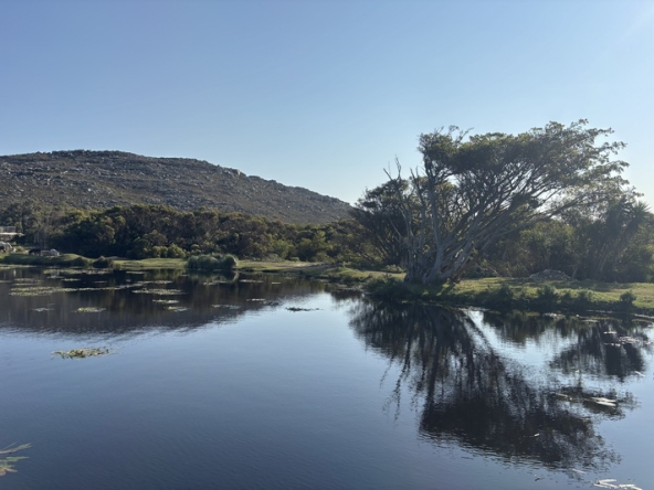 120 Cape Point Farm Stall AS 2026