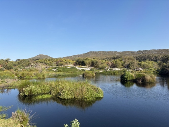 122 Cape Point Farm Stall AS 2026