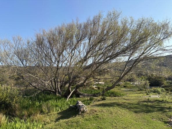 123 Cape Point Farm Stall AS 2026