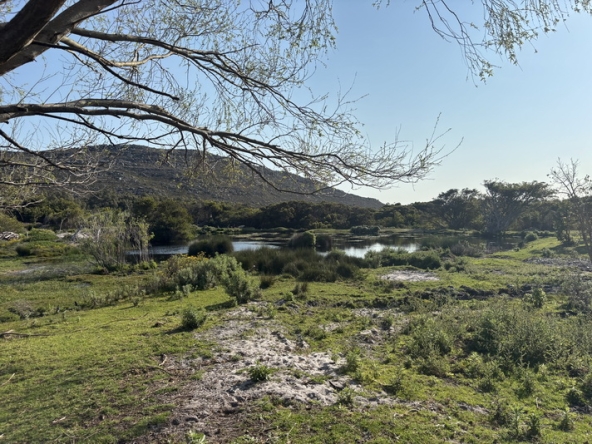 126 Cape Point Farm Stall AS 2026