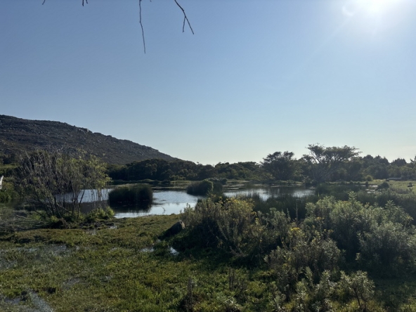 128 Cape Point Farm Stall AS 2026