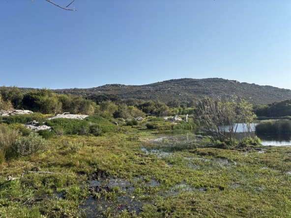 130 Cape Point Farm Stall AS 2026