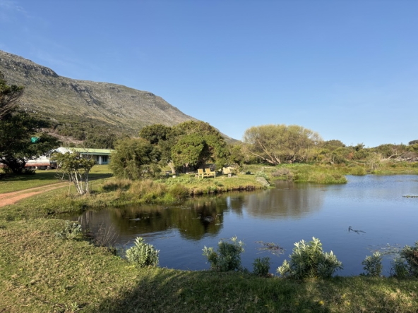 131 Cape Point Farm Stall AS 2026