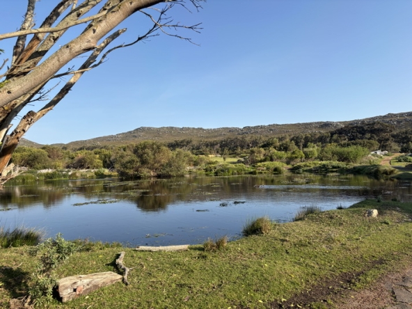 134 Cape Point Farm Stall AS 2026