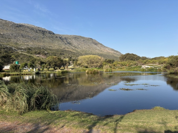140 Cape Point Farm Stall AS 2026