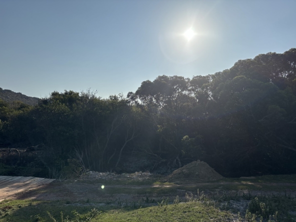 152 Cape Point Farm Stall AS 2026