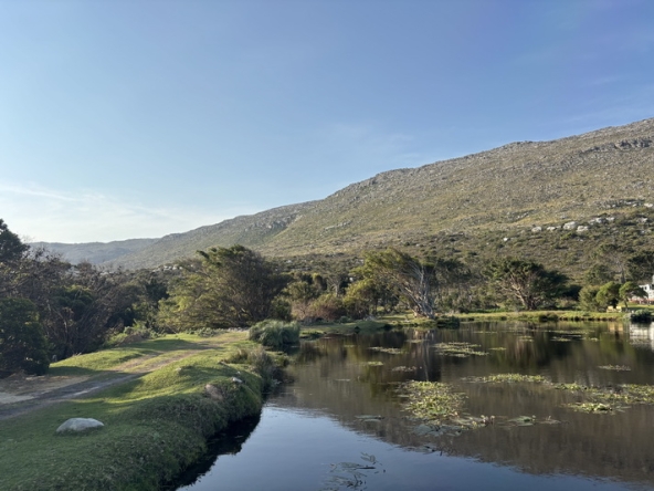 157 Cape Point Farm Stall AS 2026