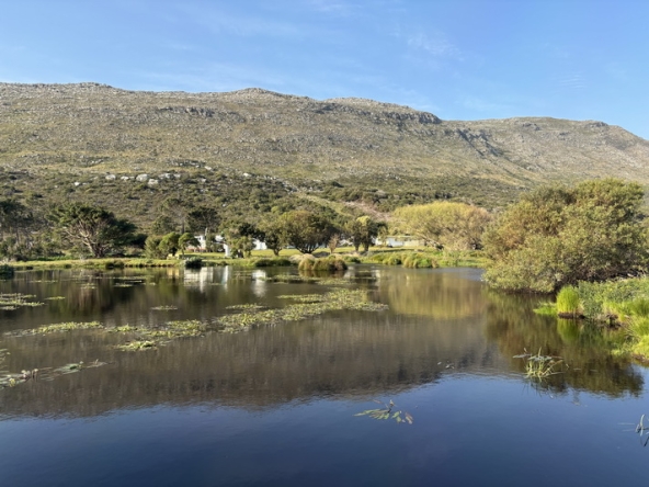 158 Cape Point Farm Stall AS 2026