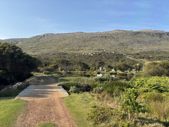 161 Cape Point Farm Stall AS 2026
