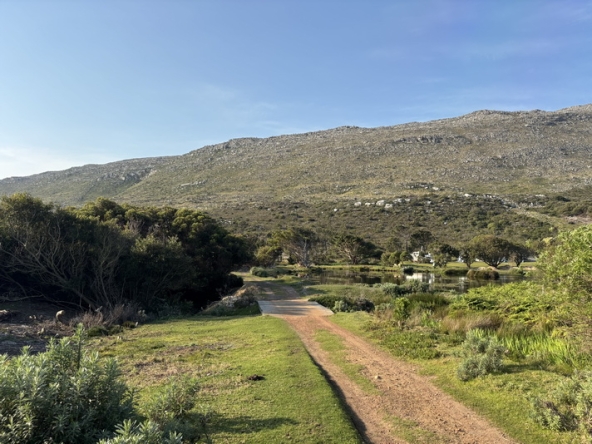 162 Cape Point Farm Stall AS 2026